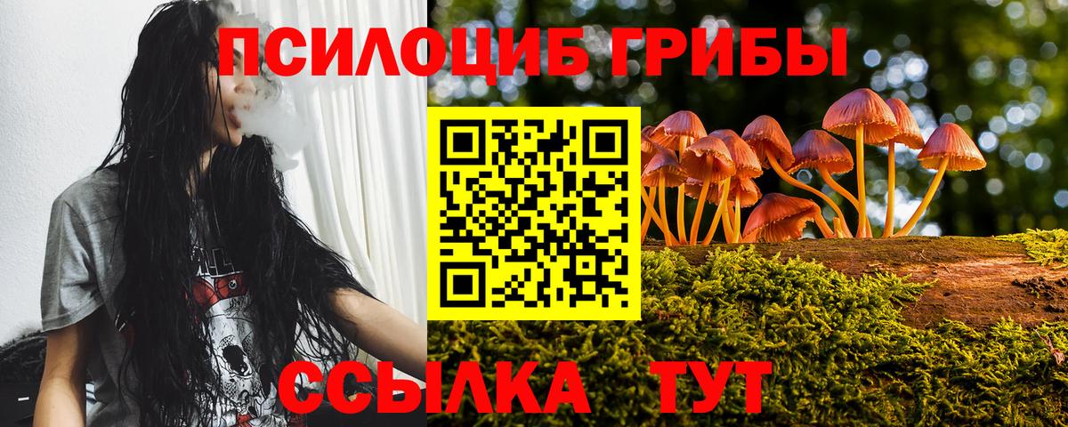 Гашиш  Вход с VPN  Каннабис  Кодеин  Мефедрон кристаллы  ГАШ  Кузнецк  ЭКСТАЗИ  МЕТАМФЕТАМИН 
