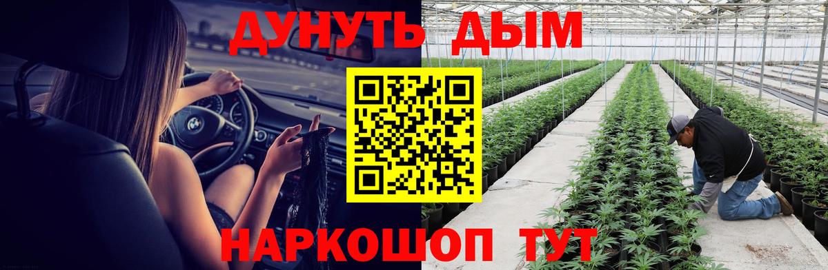 Каннабис Amnesia Кузнецк